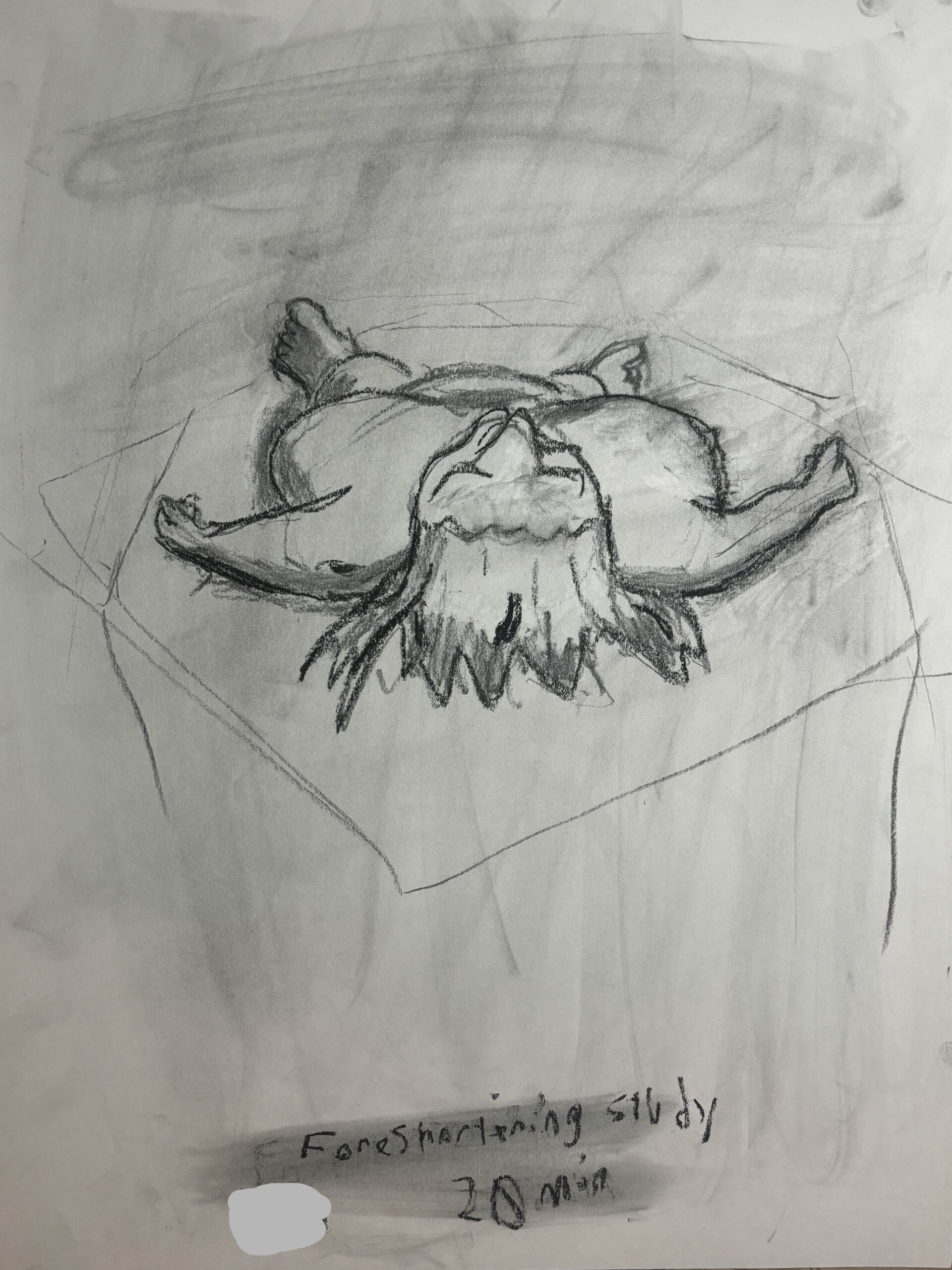 A drawing of a woman laying down face up as seen from the top of her head facing the viewer.